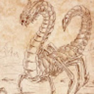 Meet your Posher, Peter